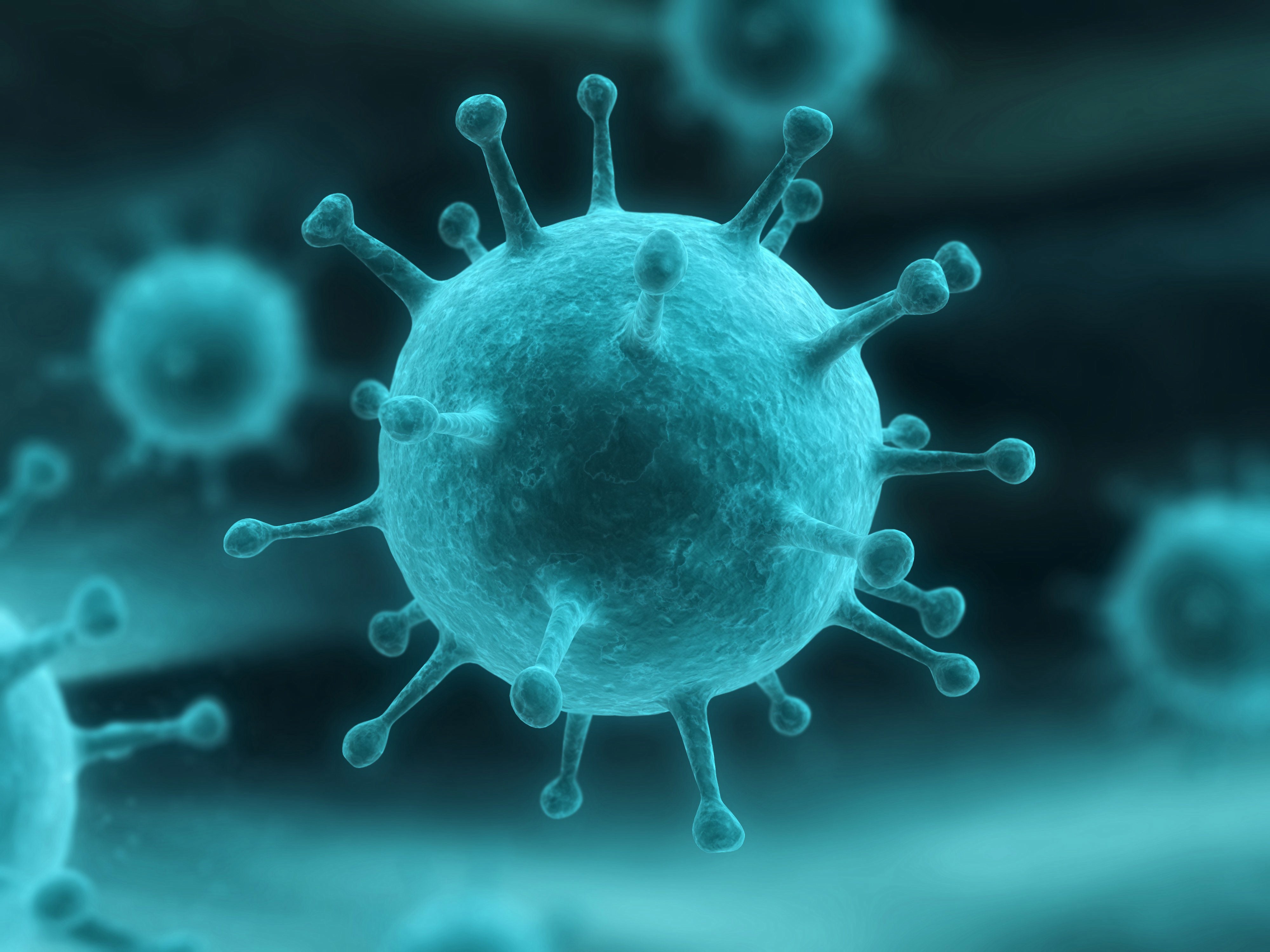 Virus Influenzale: Facciamo Il Punto