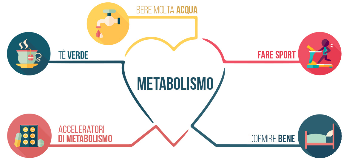 Metabolismo: Ecco Come Accelerarlo.