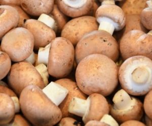Funghi porcini ammassati in una cesta