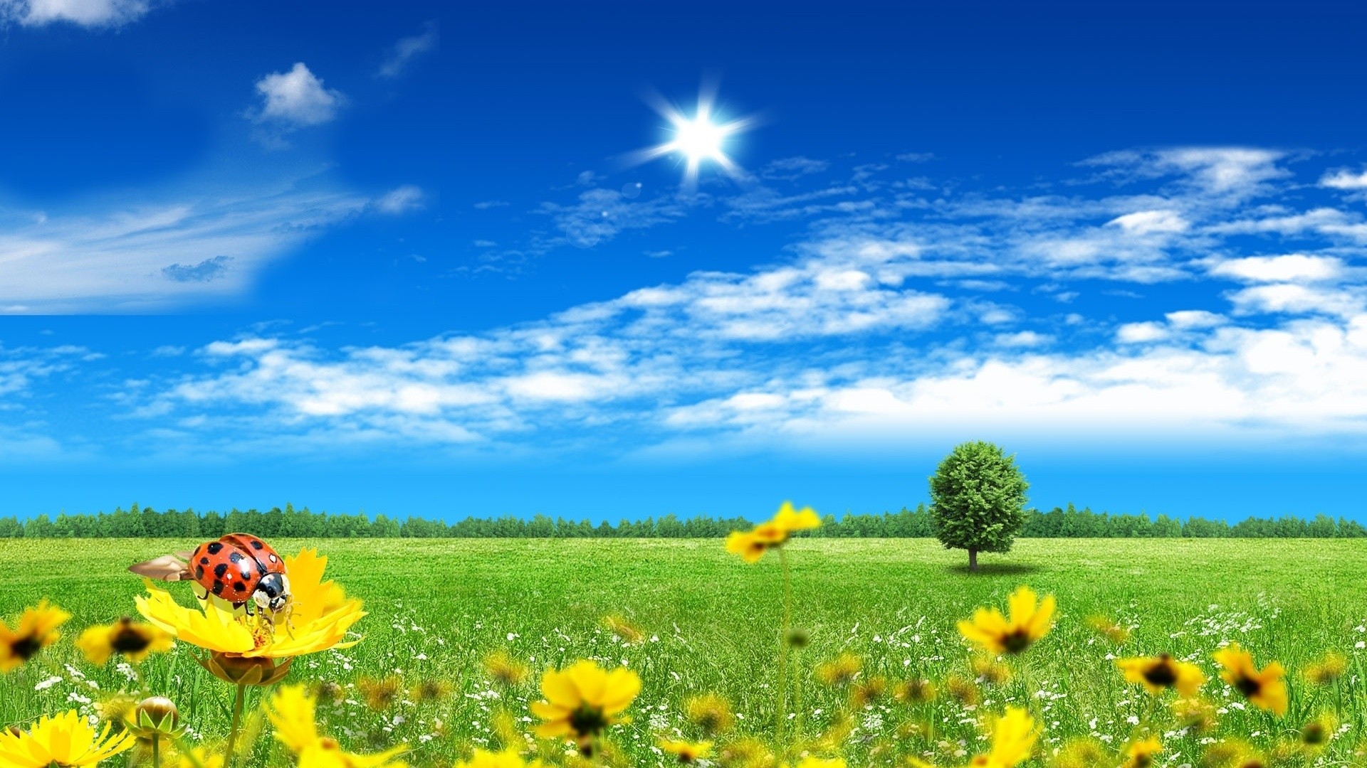 7006124-beautiful-nature-spring-scenes-wallpaper-hd