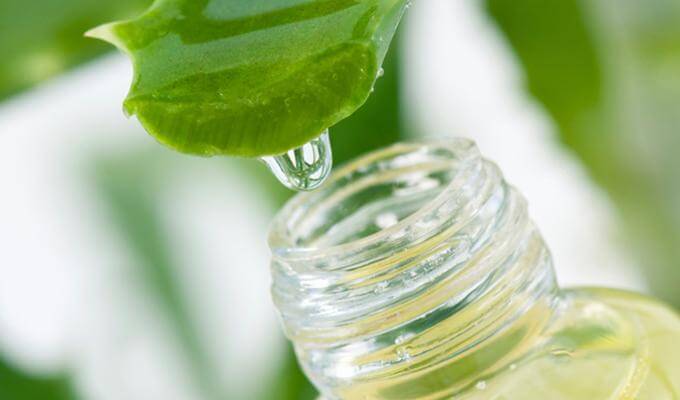 Benefici Dell'aloe Vera