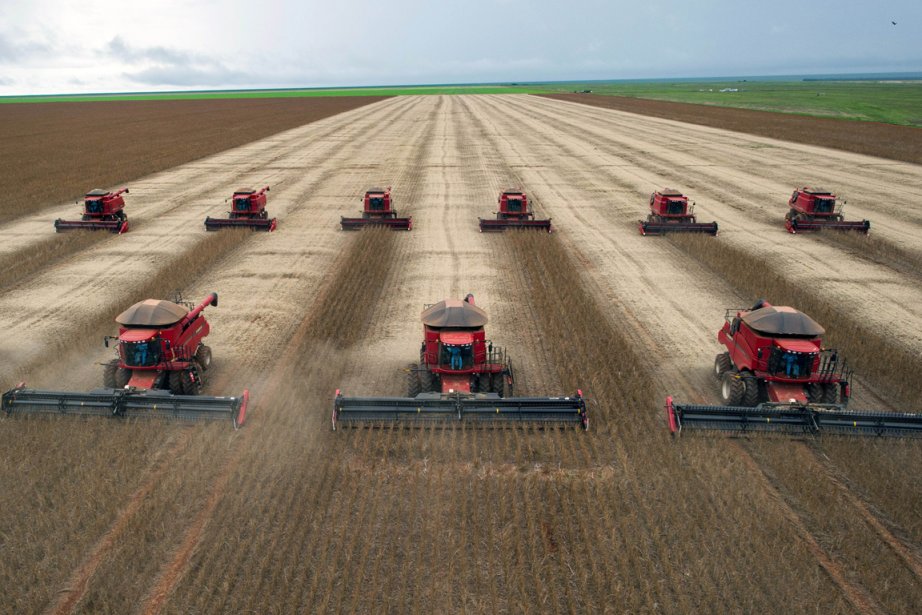 Agricoltura Intensiva Perdita Magnesio